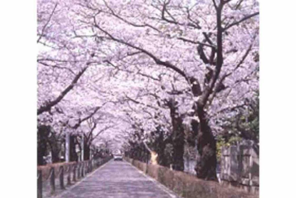 Small Villa Tokyo 渋谷まで2駅10分 青山一丁目駅徒歩3分一軒家ペット歓迎お子様歓迎駐車場あり6人までok Extérieur photo